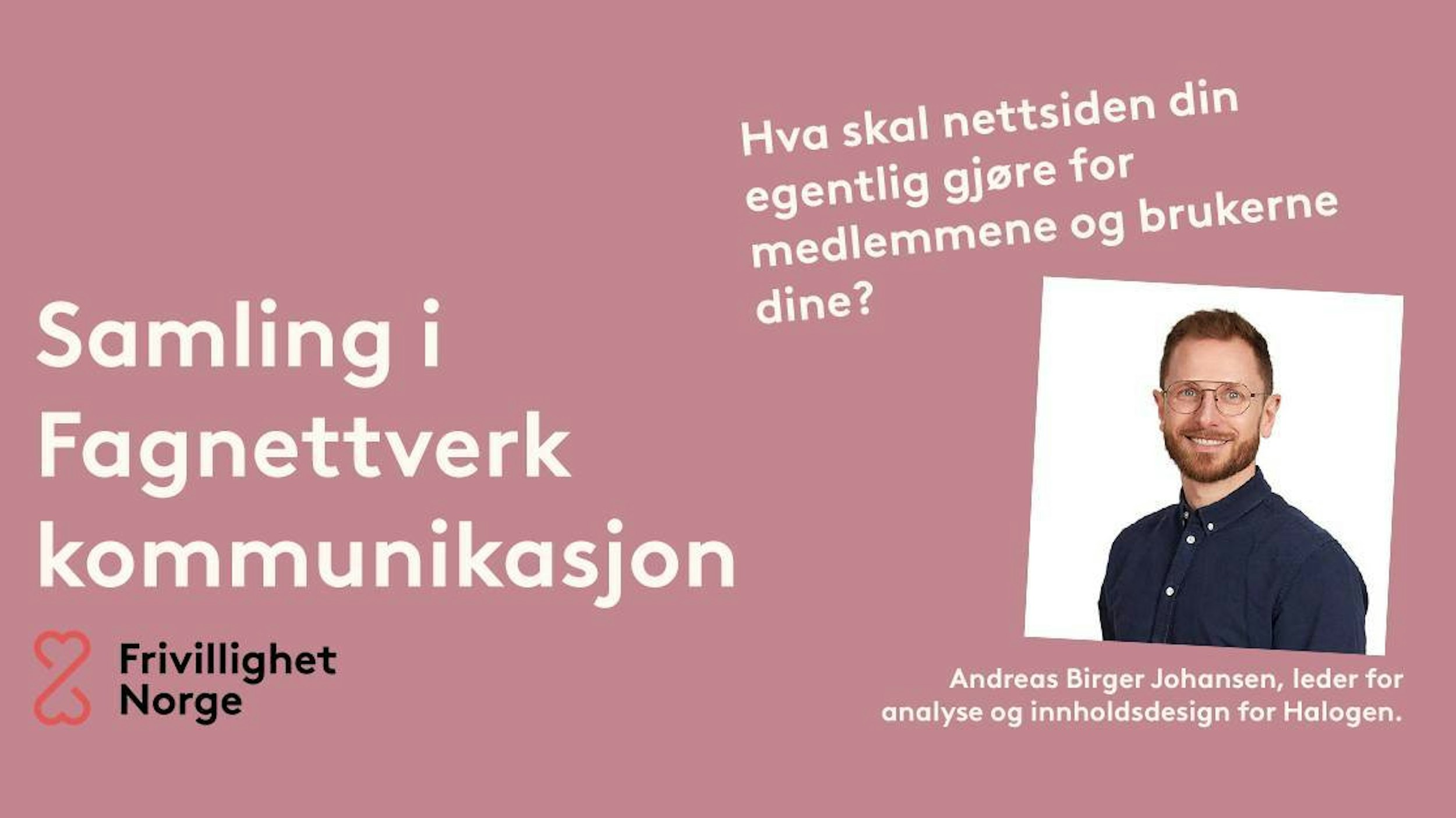 Bilde av Andreas Birger Johansen. Andreas er leder for analyse og innholdsdesign for Halogen.